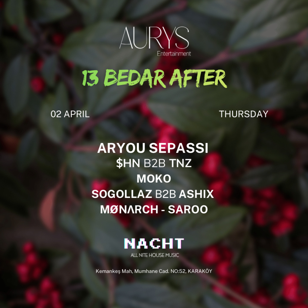 13 BEDAR AT NACHT