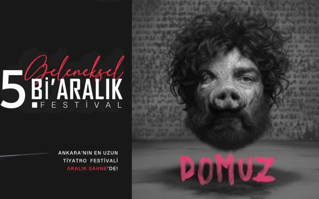 5. Geleneksel Aralık Festivali - Domuz