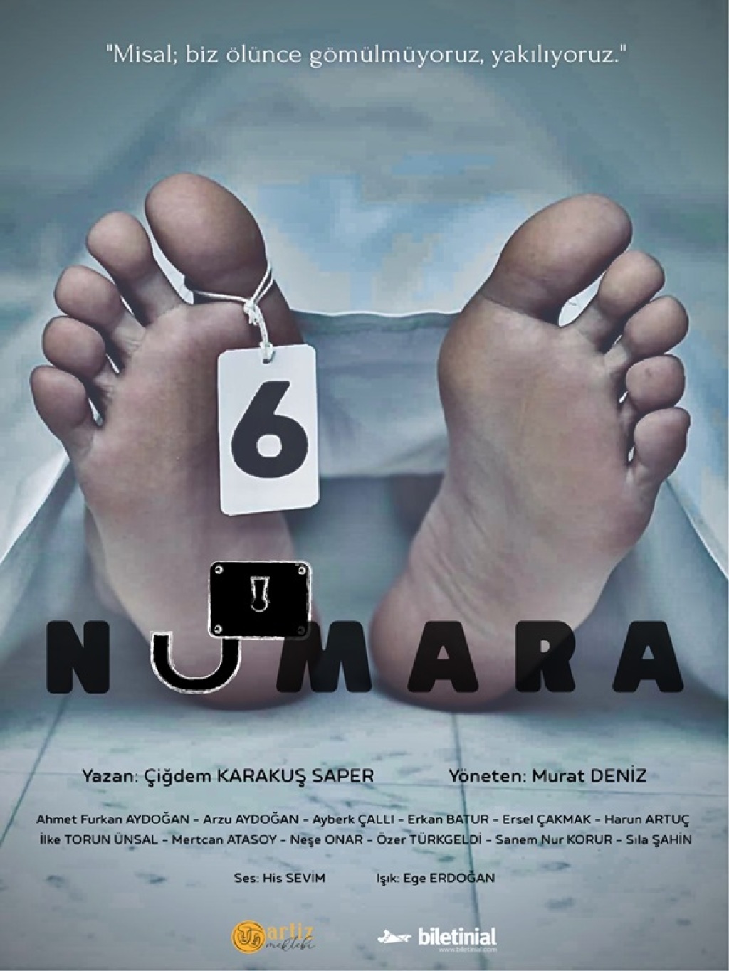 6 Numara