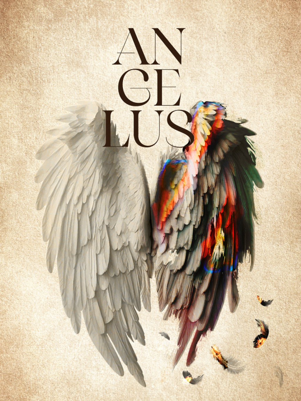 "ANGELUS" Fiziksel Tiyatro