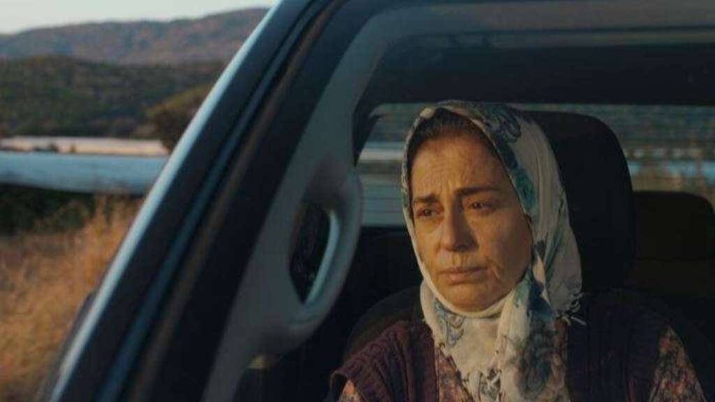 Annemin Solgun Çiçekleri
