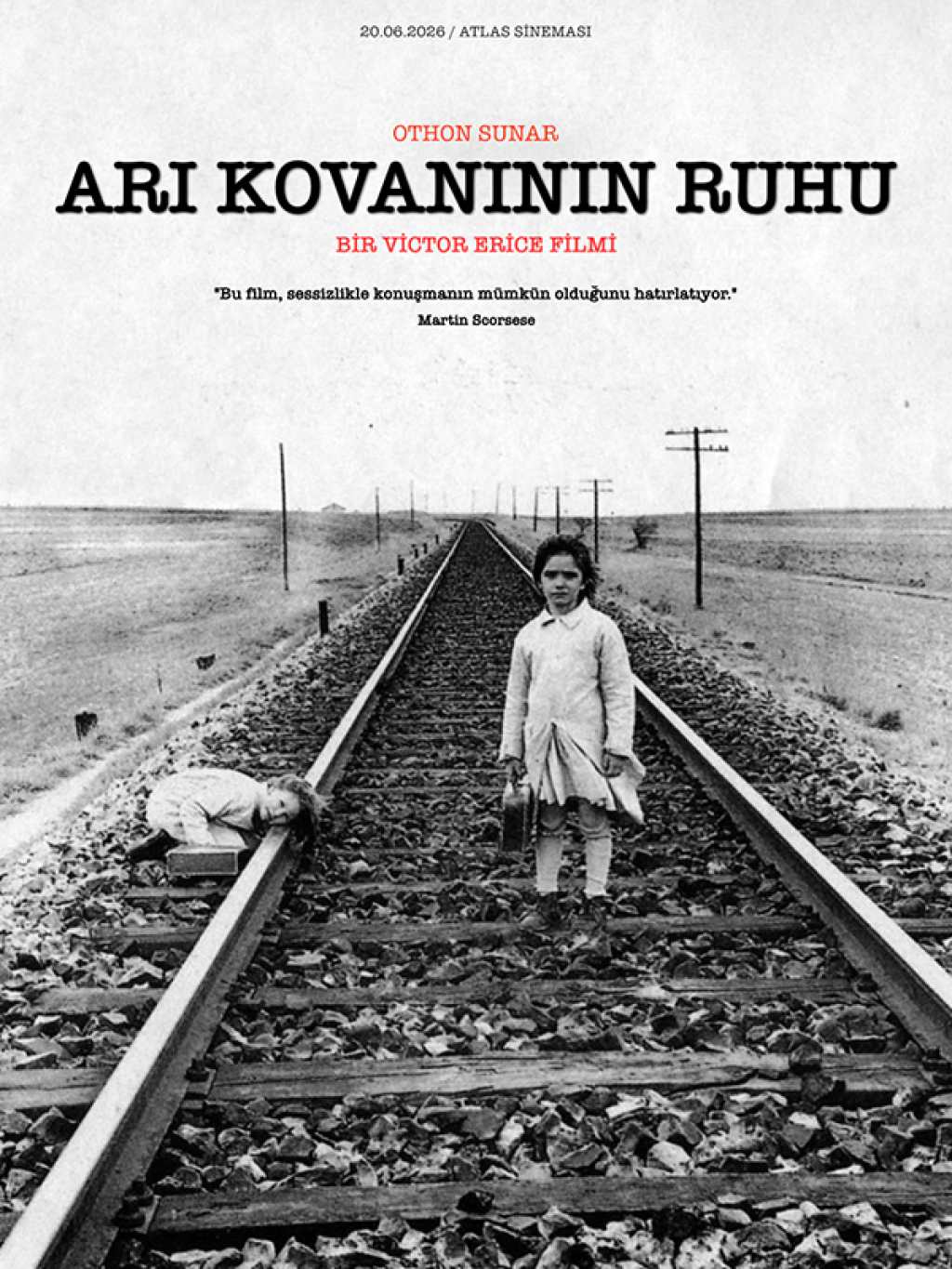 Arı Kovanının Ruhu