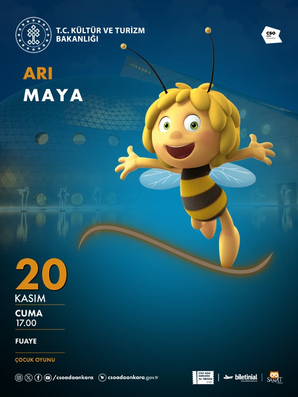Arı Maya