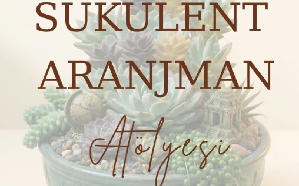 Auroray Art İle Sukulent Aranjman Atölyesi