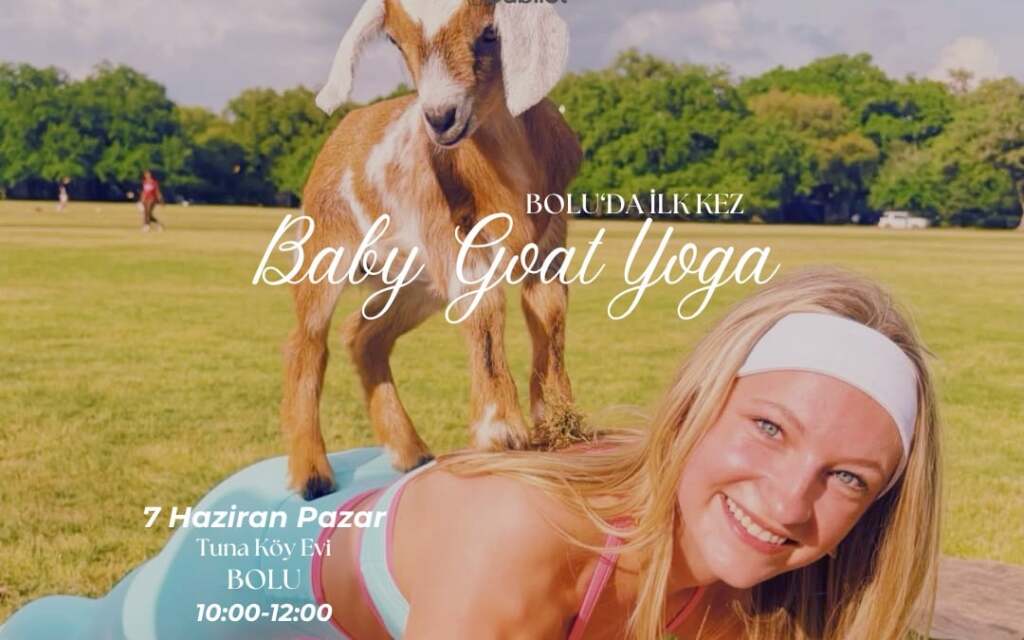 Baby Goat Yoga | Bolu