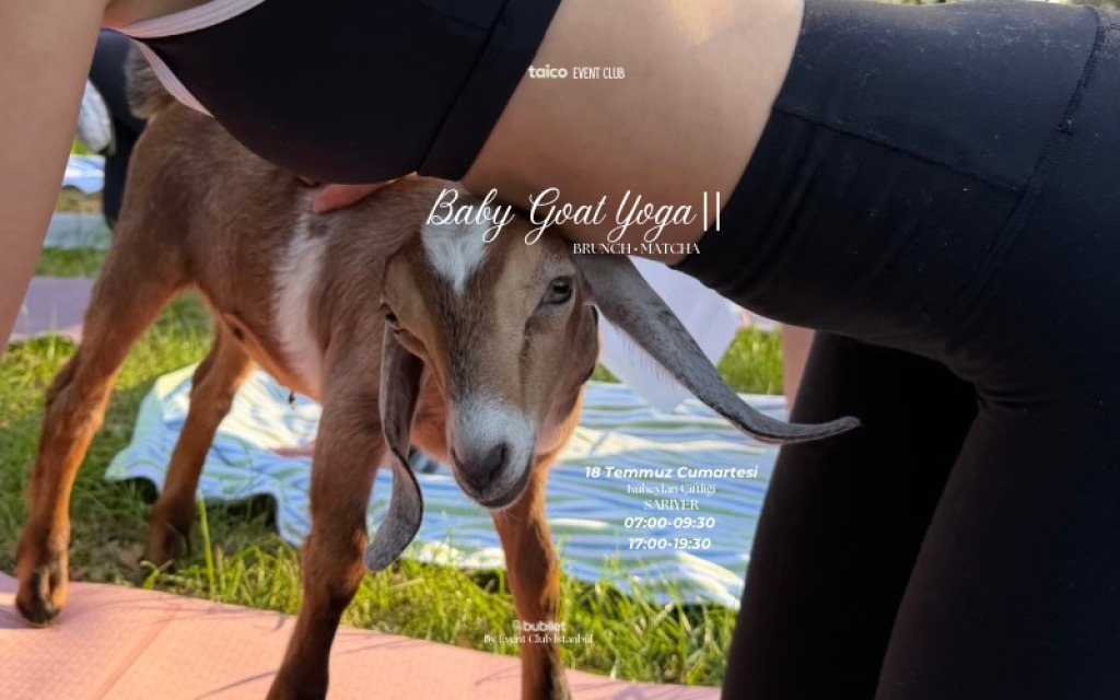 Baby Goat Yoga II