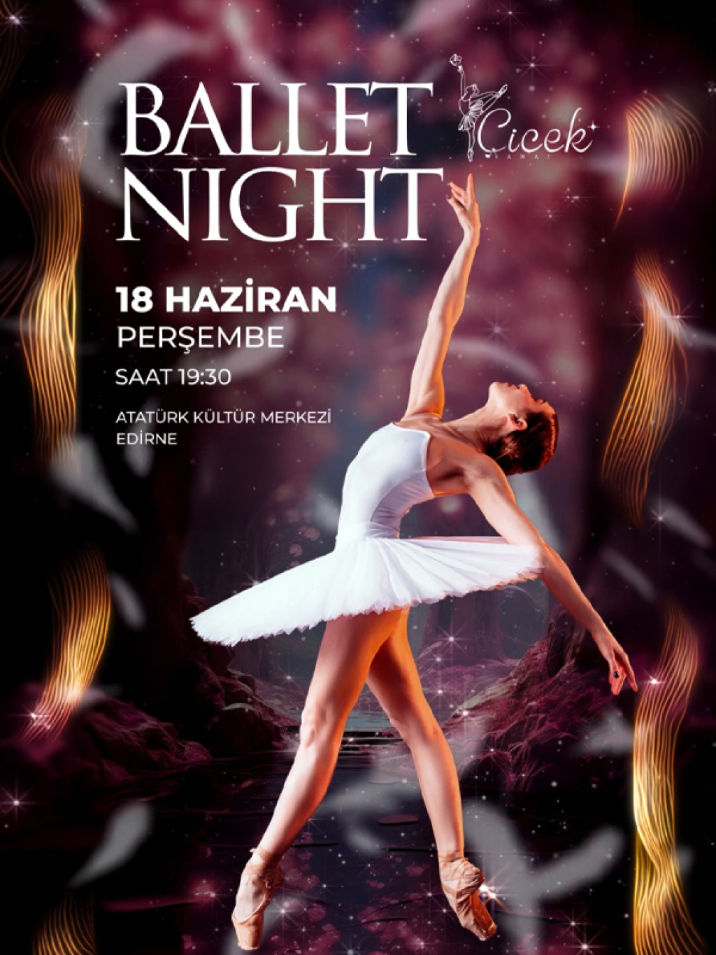 Ballet Night