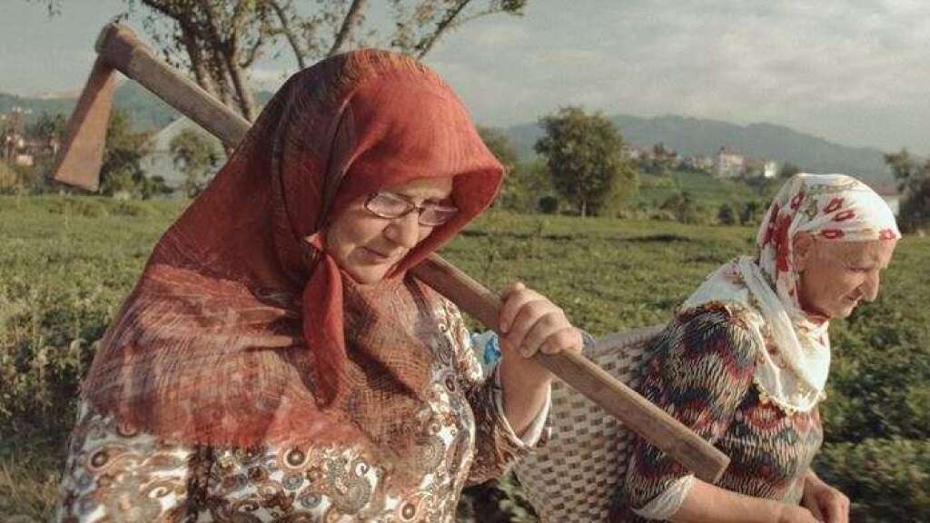 Berona