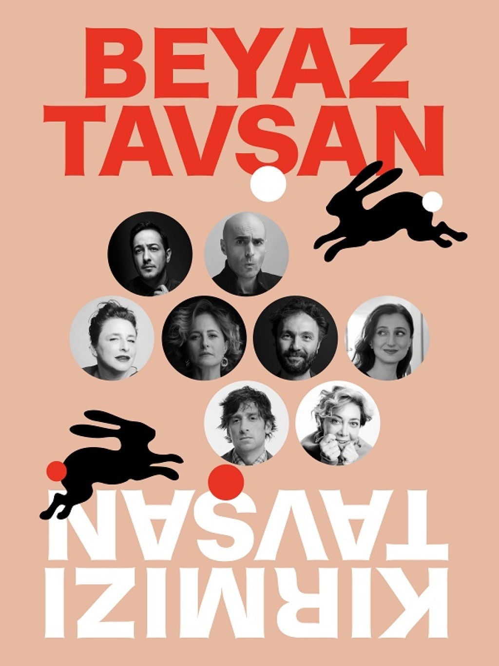 Beyaz Tavşan Kırmızı Tavşan