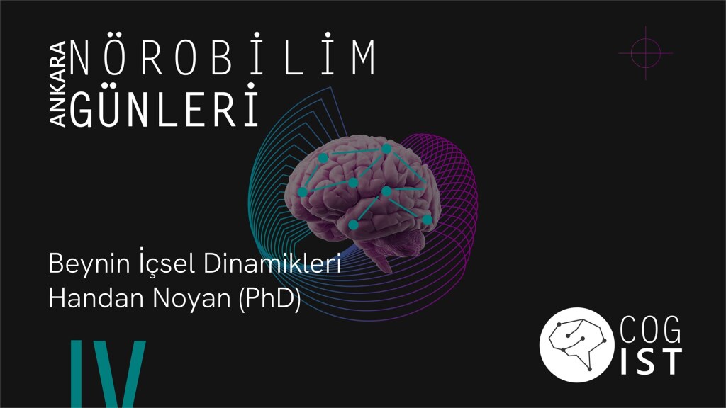 Beynin İçsel Dinamikleri - Ankara Nörobilim Günleri #4