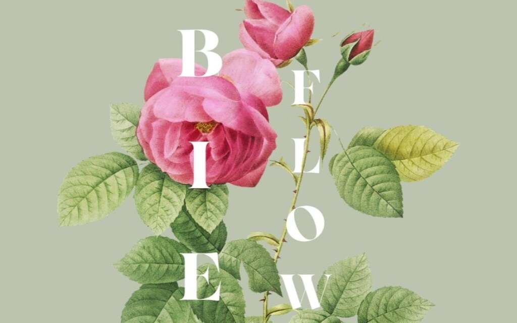 Bien Flowers ile Çiçek Aranjmanı Tasarım Atölyesi