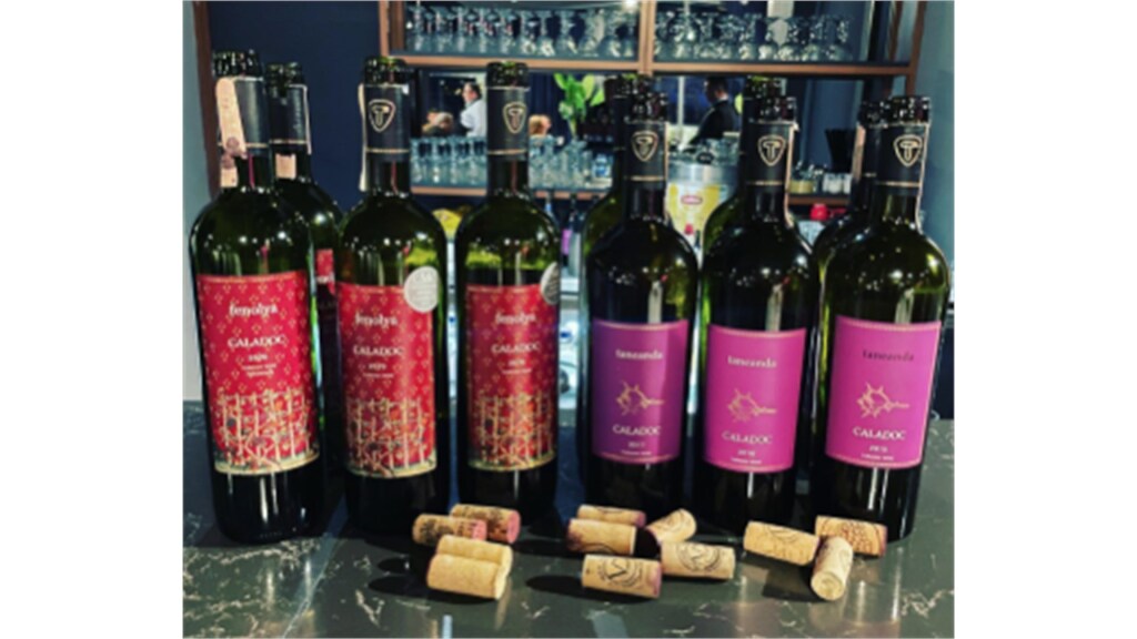 BİLİMİN HEDİYESİ ÜZÜMLER TADIMI: TANEANDA WAYANA'DA