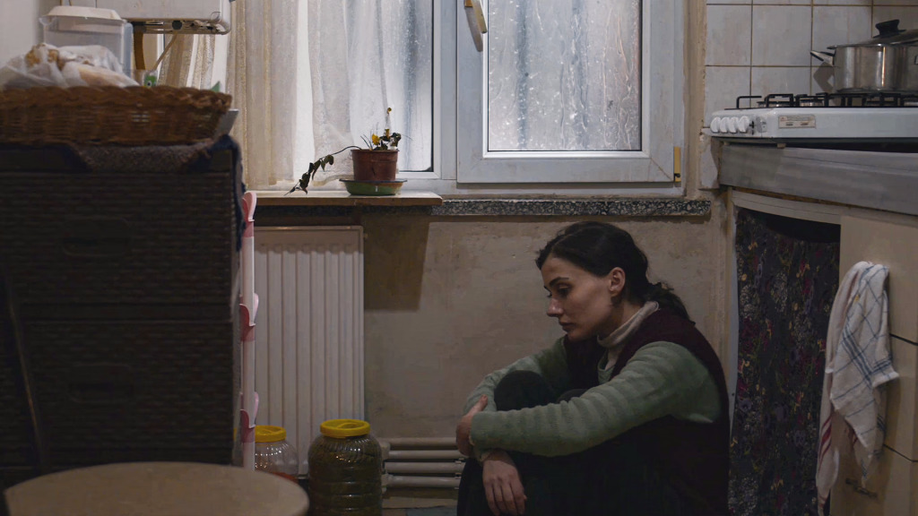 Bir Anne Hakkında