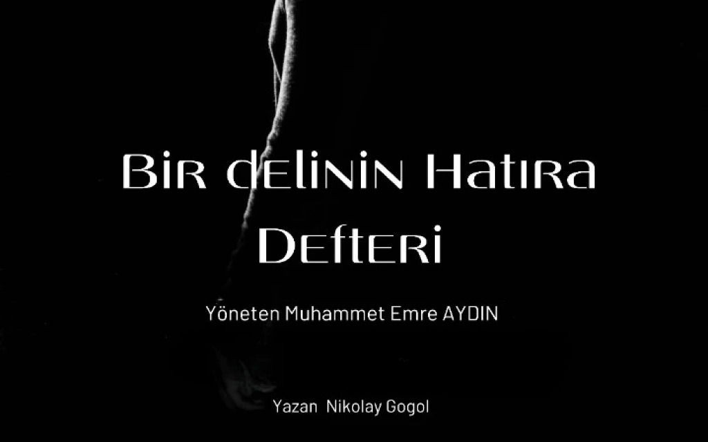 Bir Delinin Hatıra Defteri - Muhammet Emre Aydın