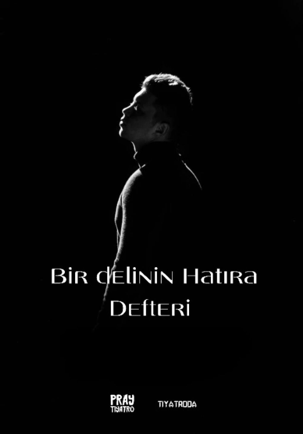 Bir Delinin Hatıra Defteri - Muhammet Emre Aydın