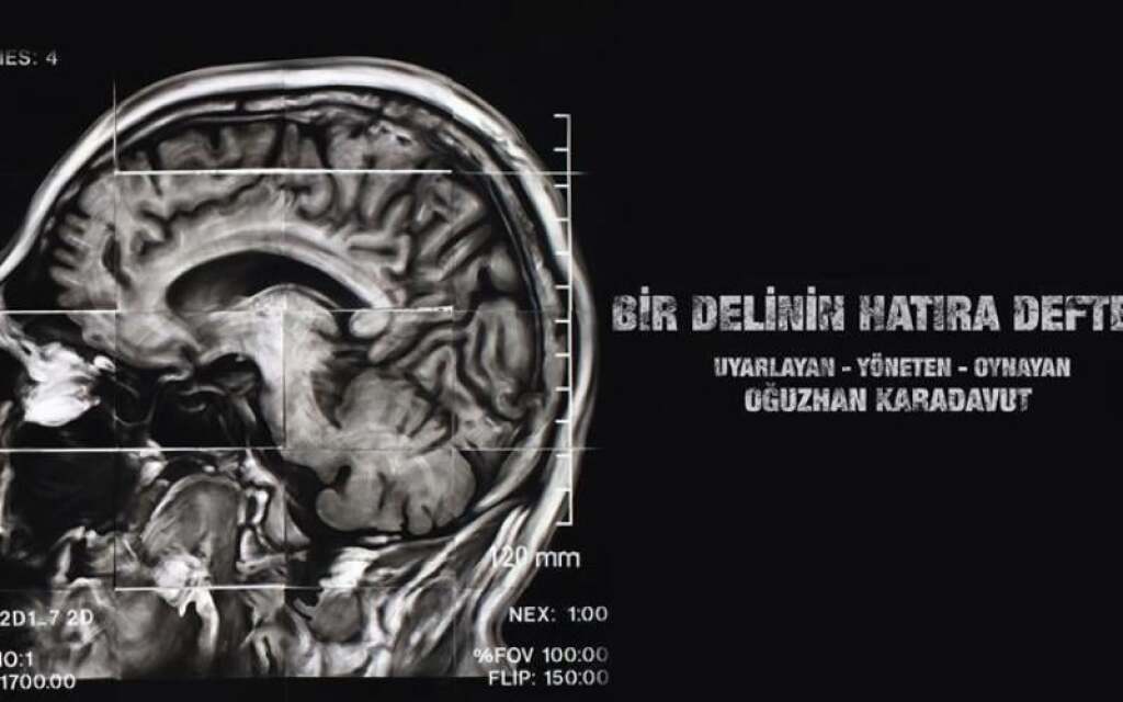 Bir Delinin Hatıra Defteri - Oğuzhan Karadavut