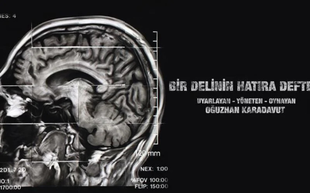 Bir Delinin Hatıra Defteri - Oğuzhan Karadavut