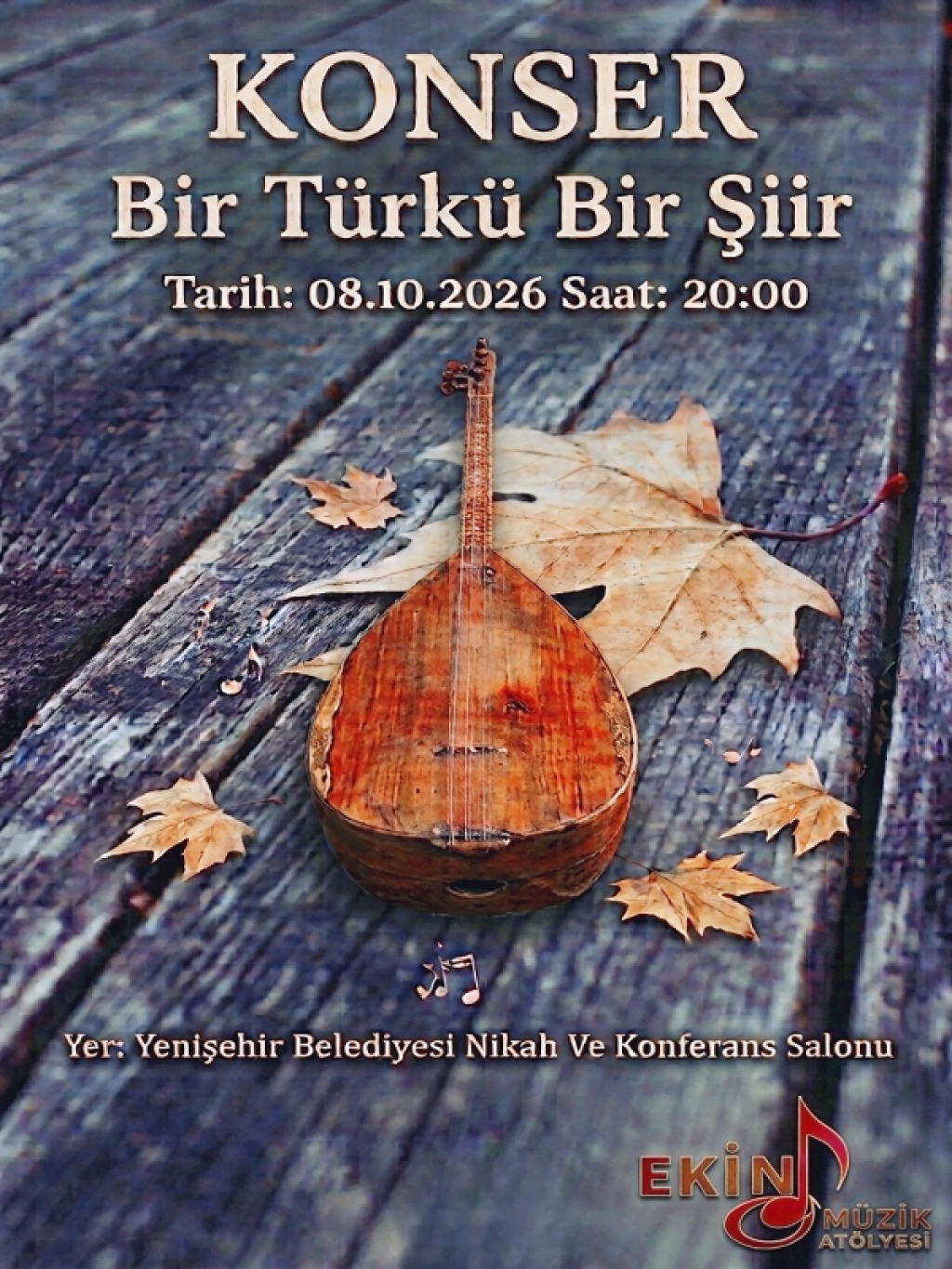 Bir Türkü Bir Şiir
