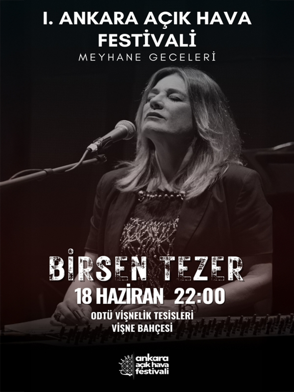 Birsen Tezer "Meyhane Geceleri"