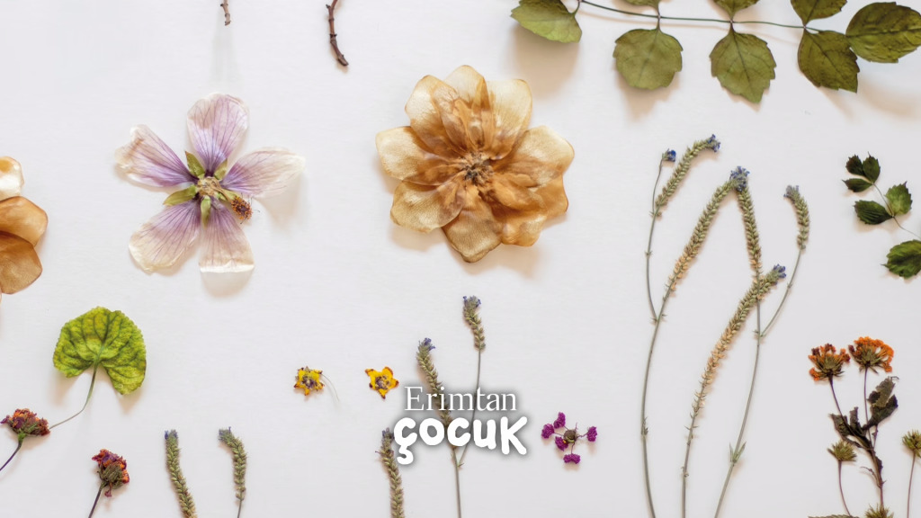 BOTANICA: Anadolu'nun Bitkileri Sergisi Kapsamında - Aile Atölyesi - Herbaryum Atölyesi (4-6 Yaş)