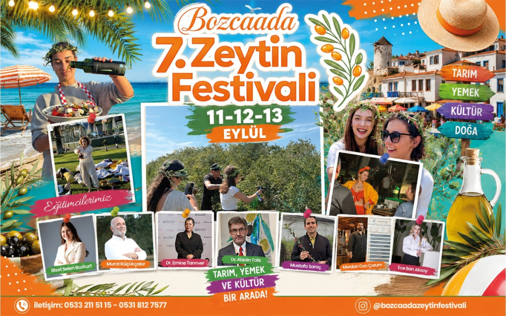 Bozcaada 7. Zeytin