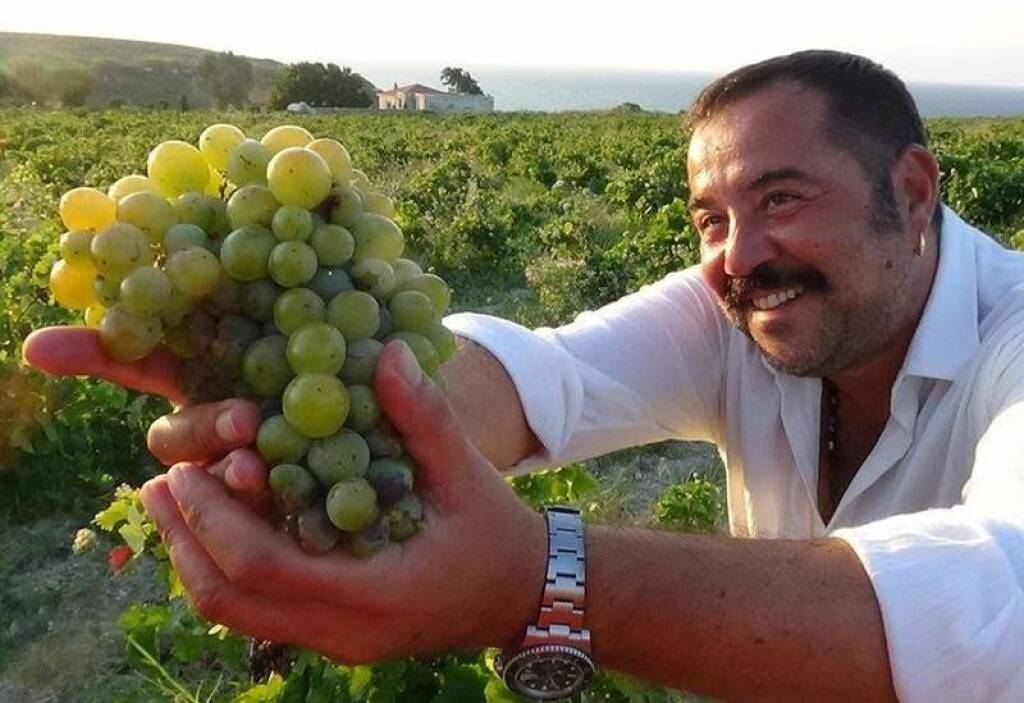 Bozcaada Bağbozumu