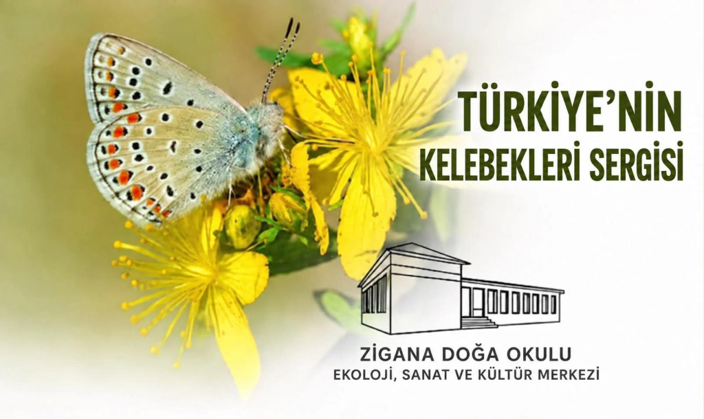 By Akademi Kitap Sergisi