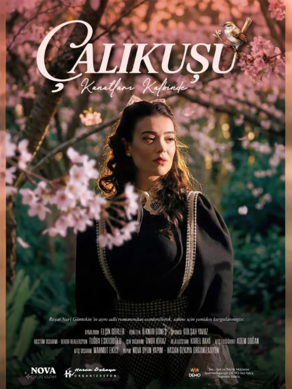 Çalıkuşu - Kanatları Kalbinde