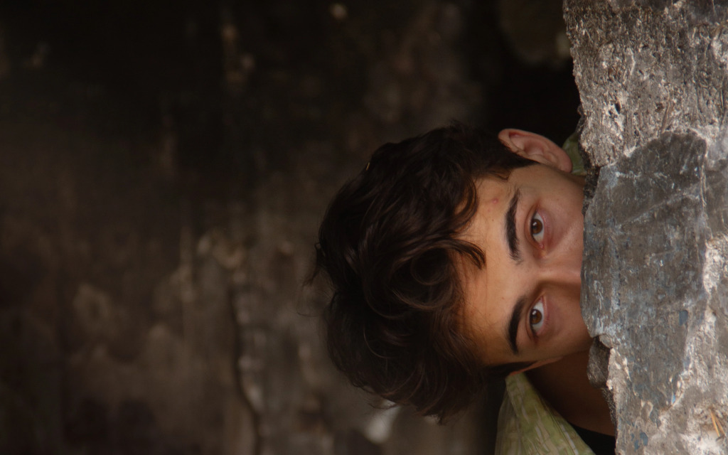 Cici Memo / 2598 numaralı sokak