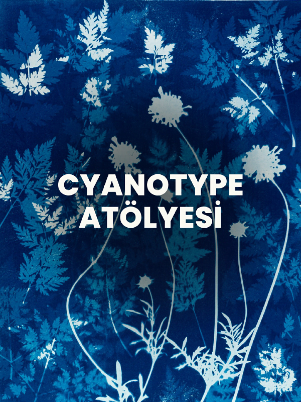 Cyanotype Atölyesi