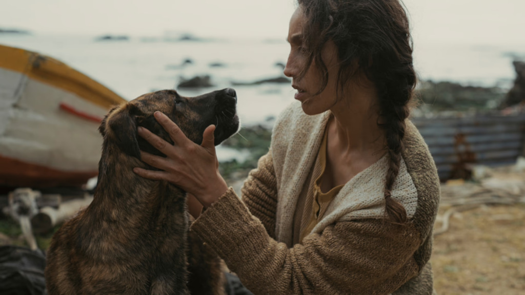 Dişi Köpek