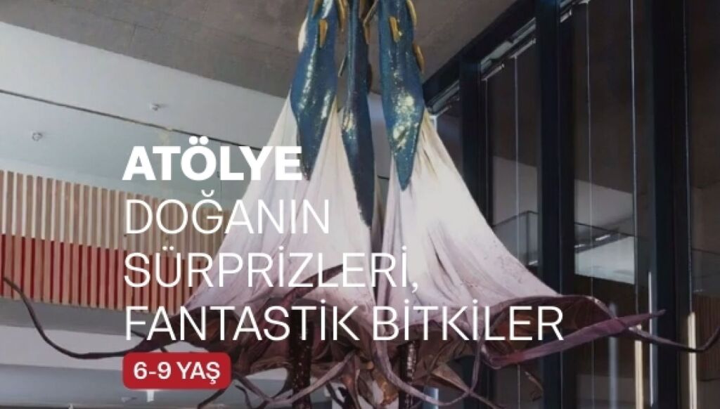 Doğanın Sürprizleri, Fantastik Bitkiler 6-9 Yaş