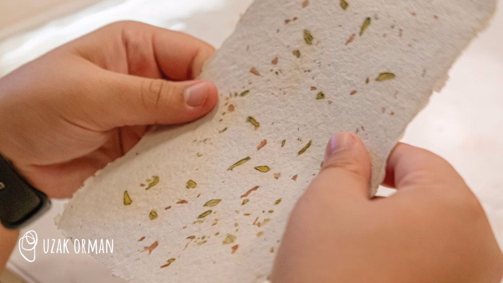 Dokunun Hafızası: Kağıt Yapımı Atölyesi