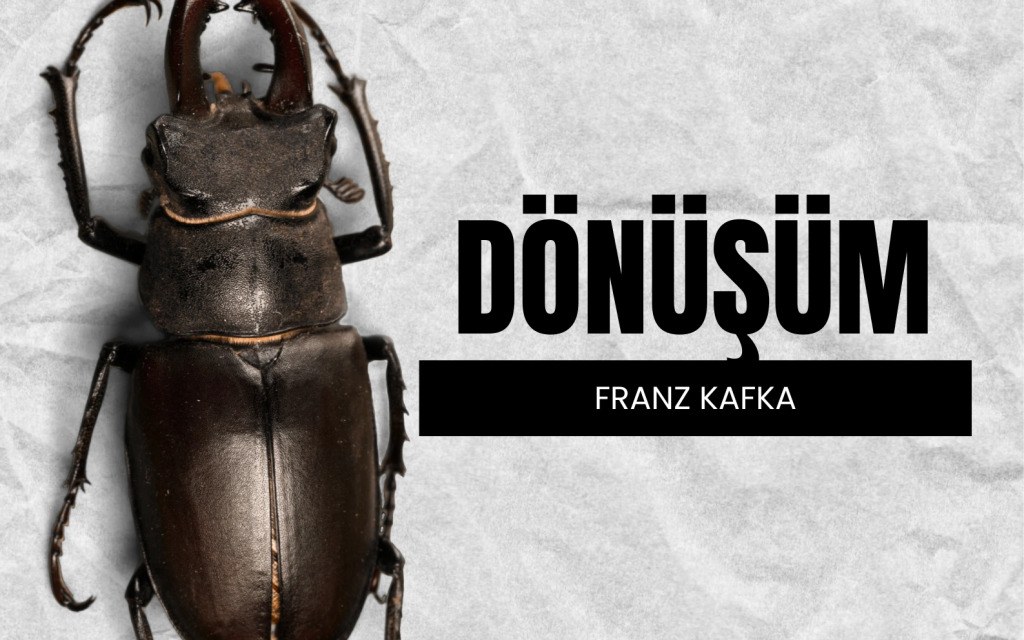 Dönüşüm Oyunu - Franz Kafka
