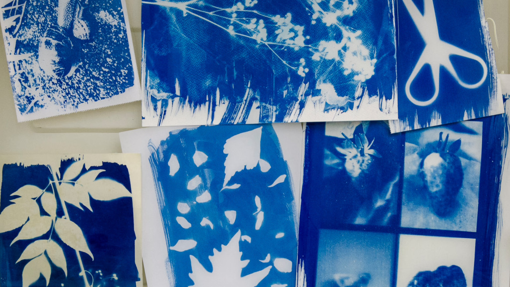 Elçin Acun ve Mert Çağıl Türkay ile Cyanotype Atölyesi
