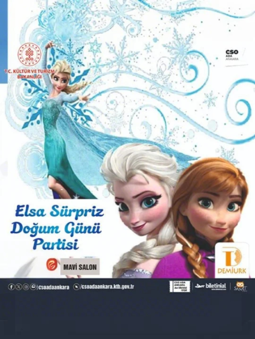 Elsa Sürpriz Doğum Günü