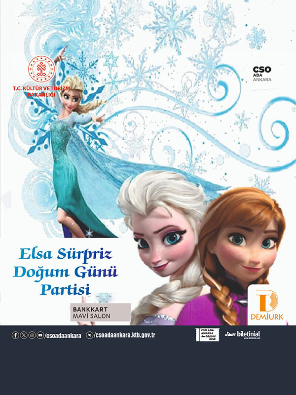 Elsa Sürpriz Doğum Günü
