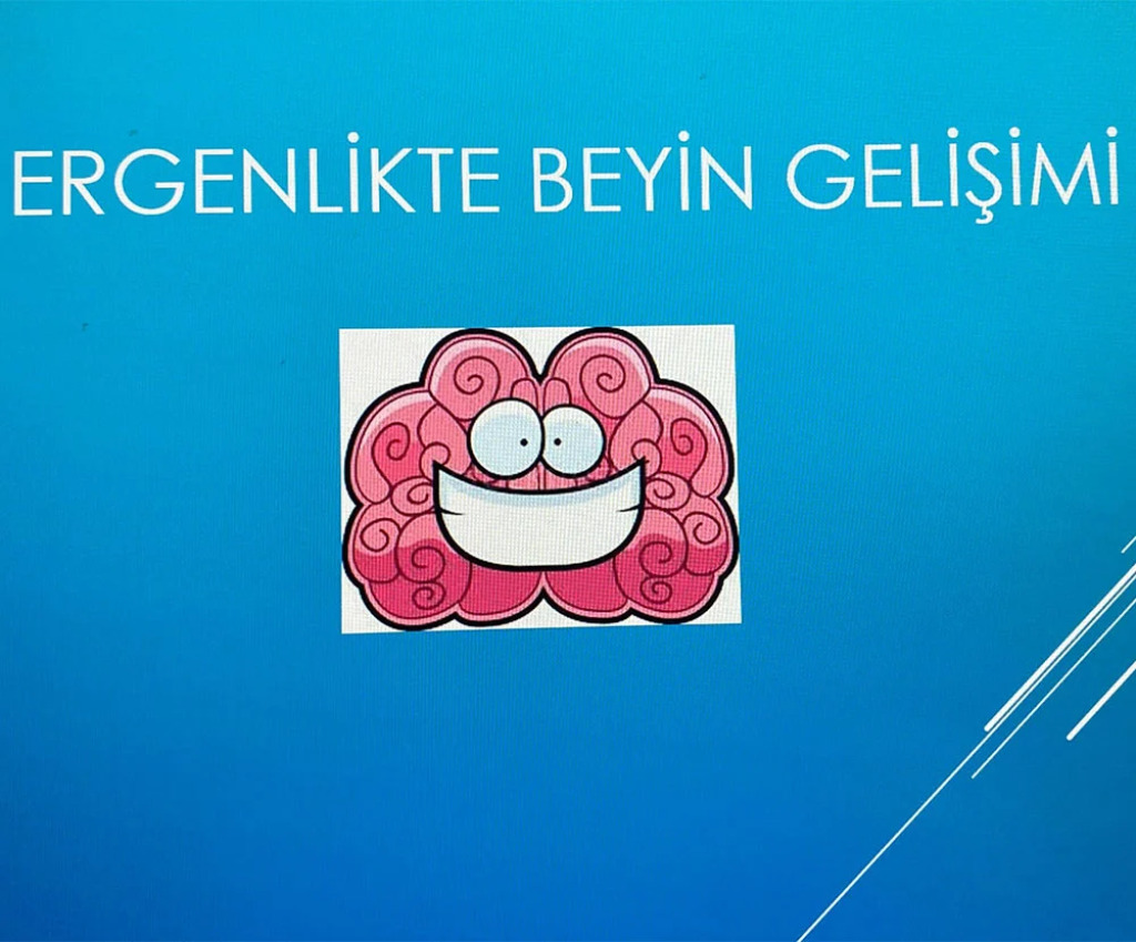 Ergenlikte Beyin Gelişimi