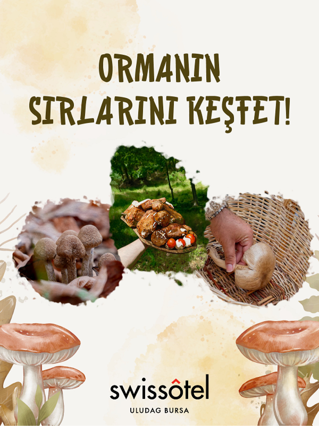 FungiTurkey ile Uludağ'da Mantar Avı