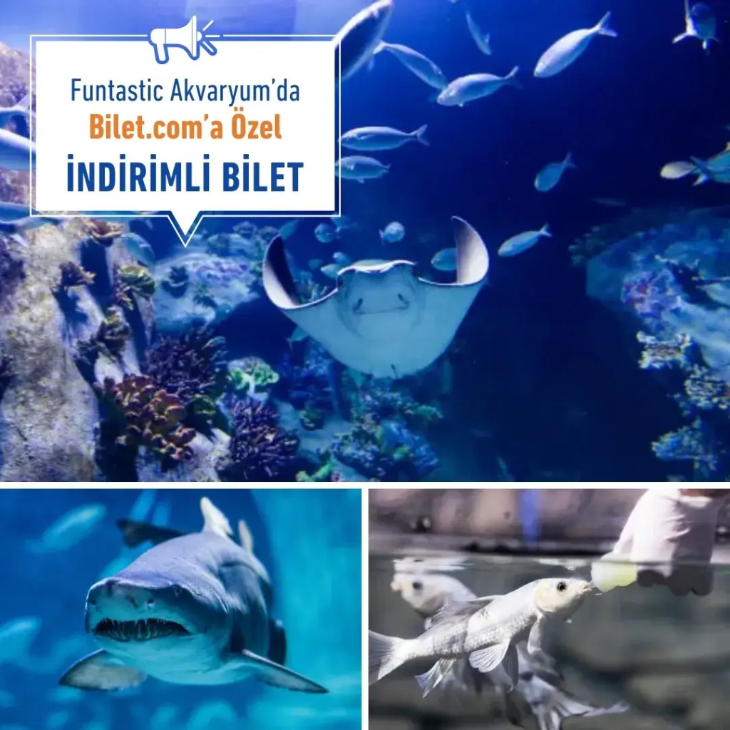 Funtastic Aquarium İzmir