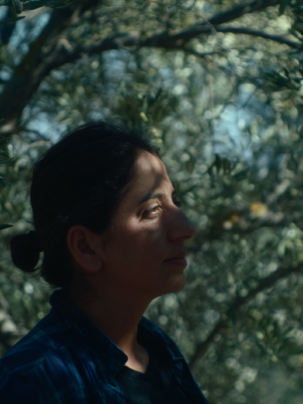 Gitmedik Buradayız & Seva Film Gösterimleri