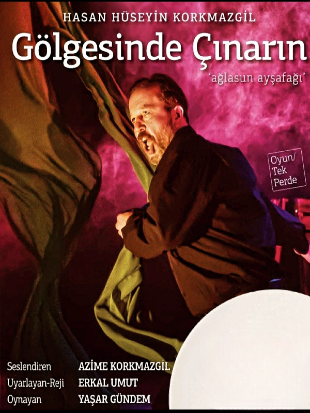 Gölgesinde Çınarın