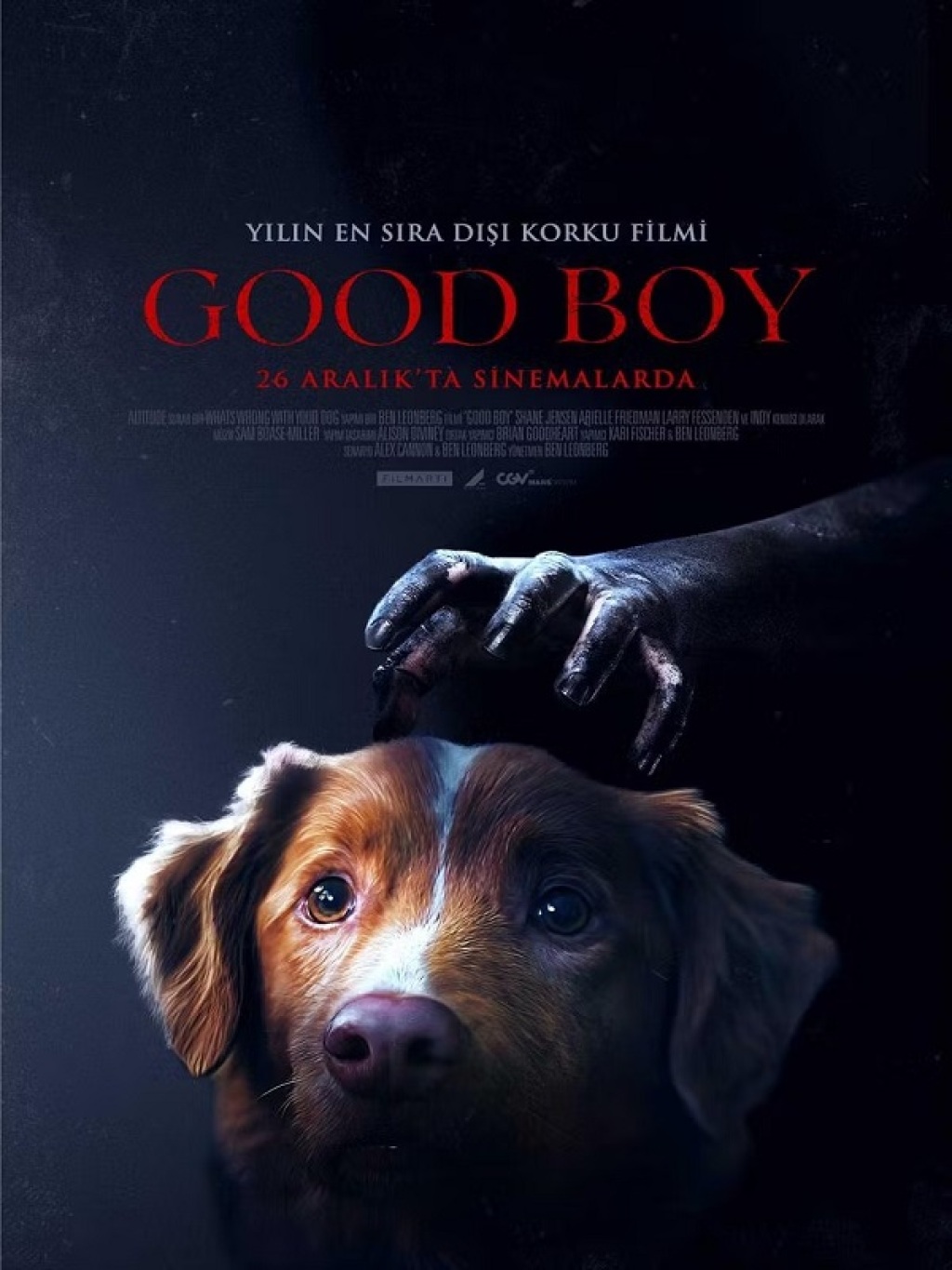 Good Boy