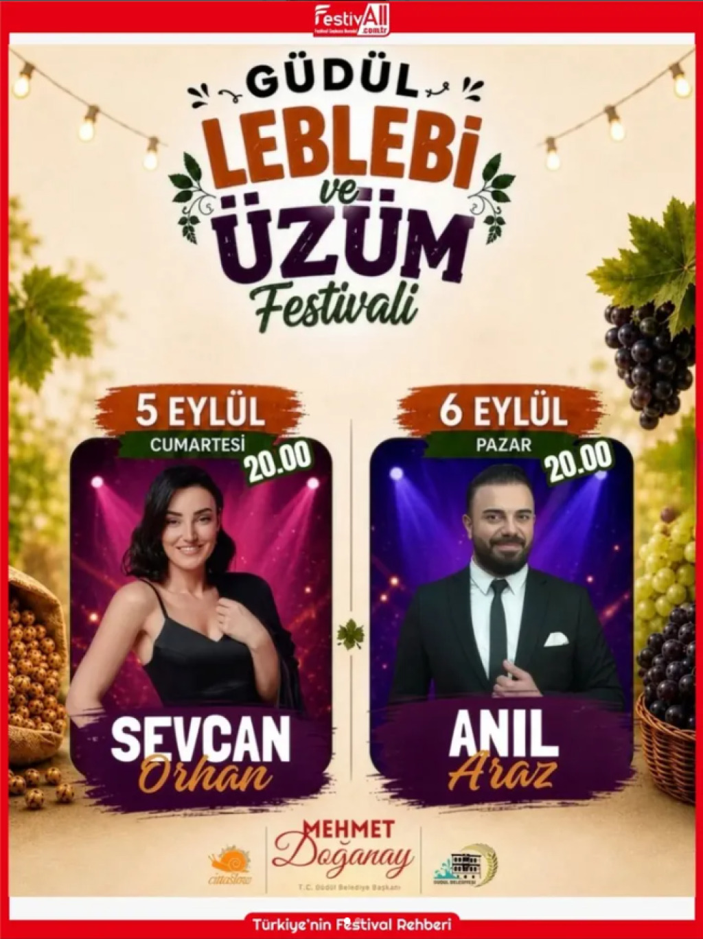 Güdül Leblebi Ve Üzüm