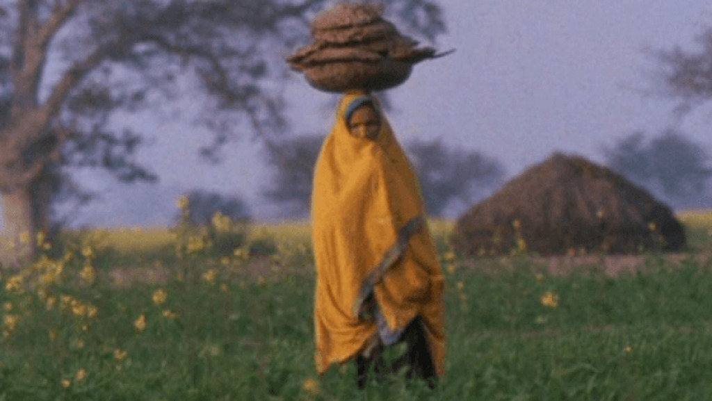 Hayalet Hindistan (L'Inde fantôme)