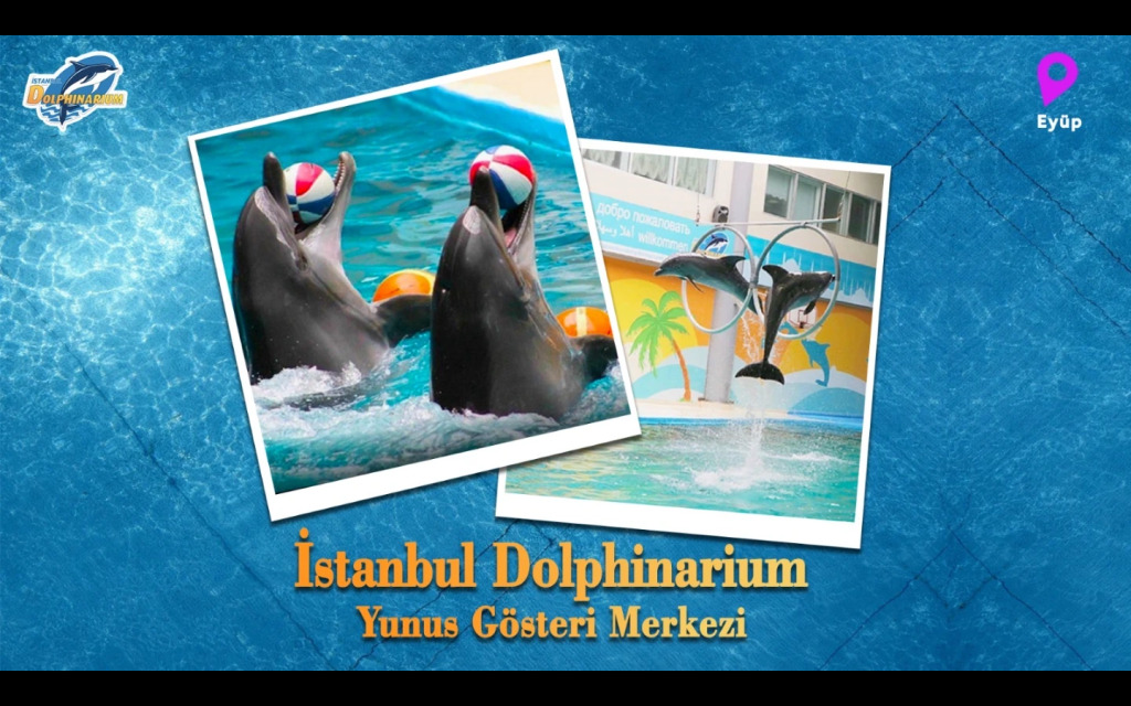 İstanbul Dolphinarium Yunus Gösteri Merkezi