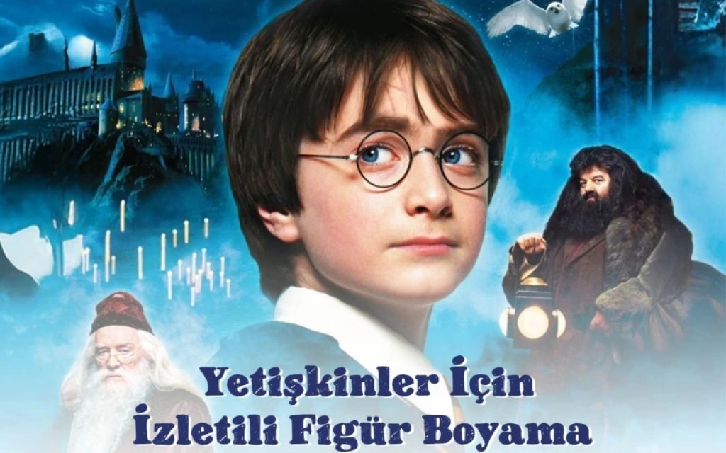 İzletili 3D Figür Boyama (Harry Potter)