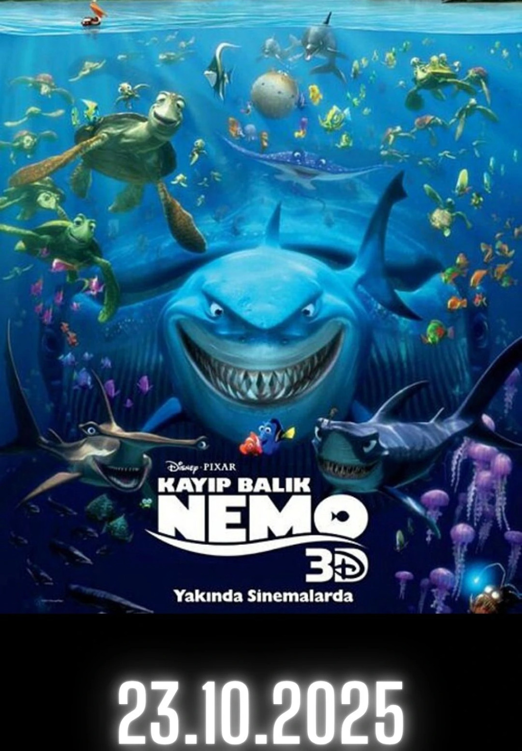 Kayıp Balık Nemo Film Gösterimi