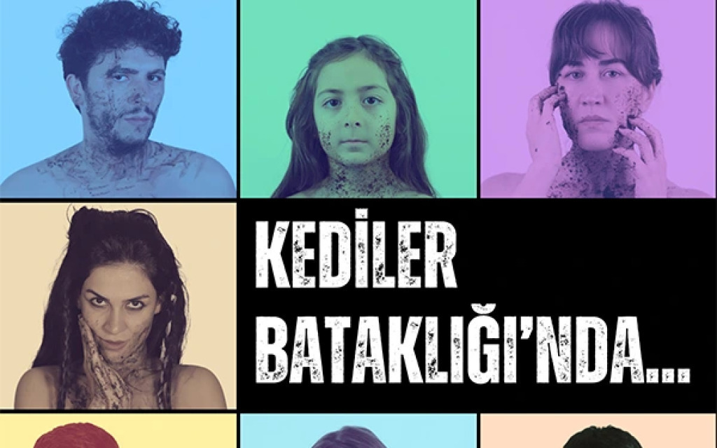Kediler Bataklığında