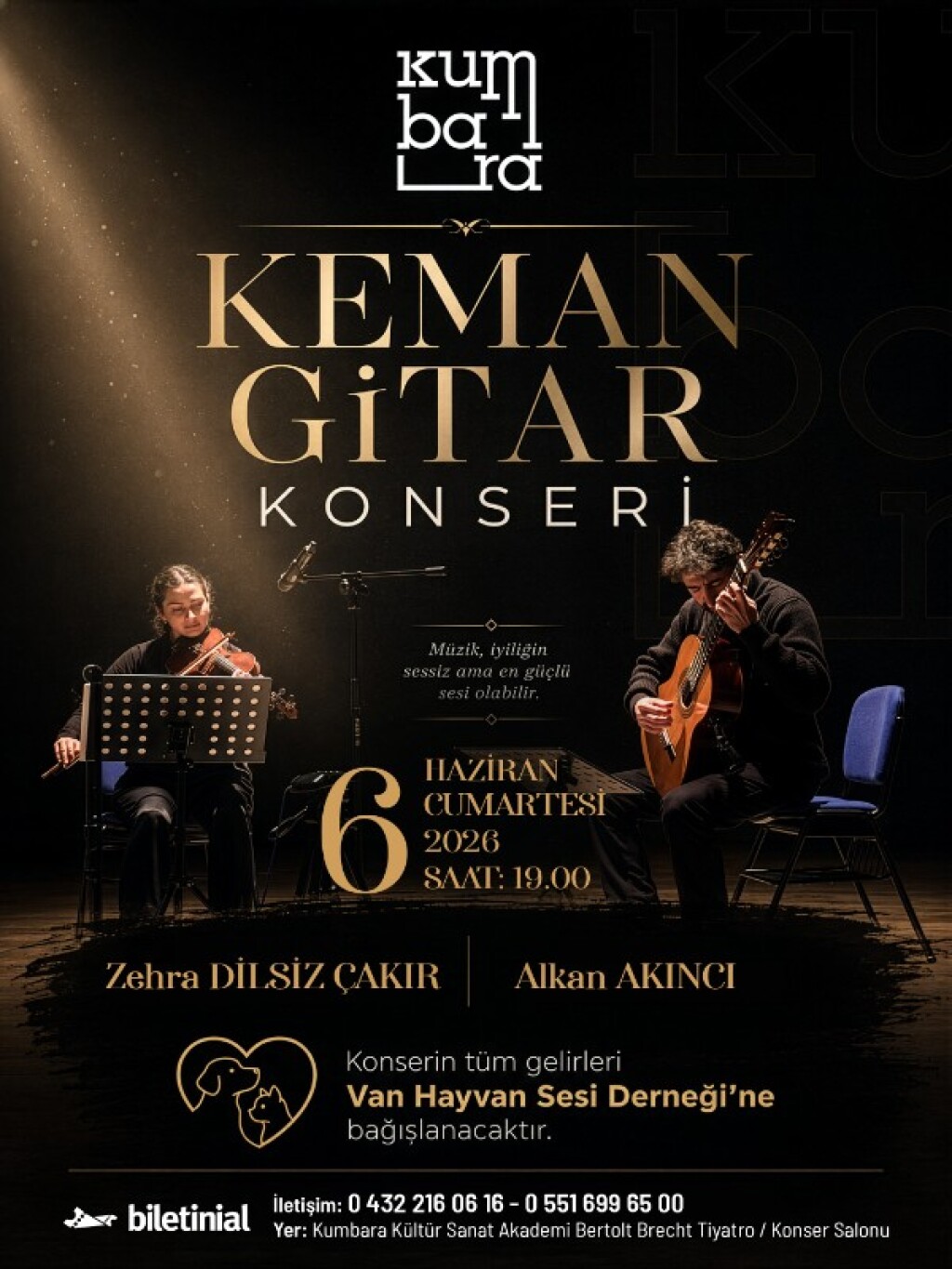 Keman Gitar